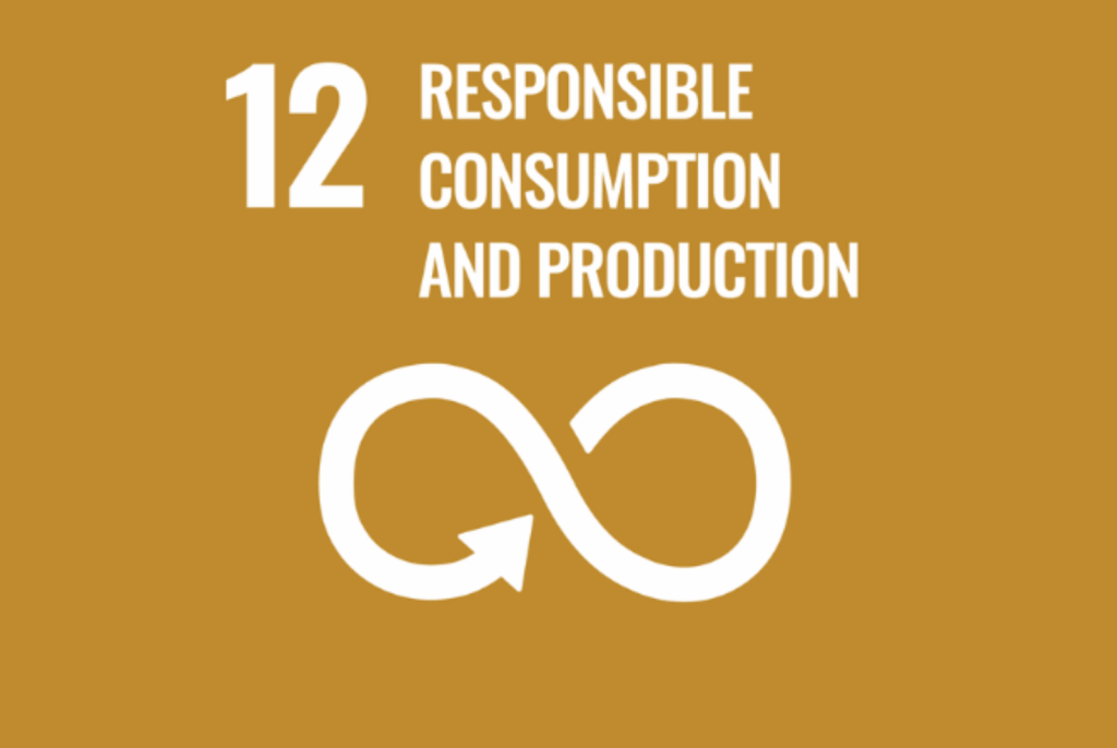 Sostenibilidad 8 SDGs 12