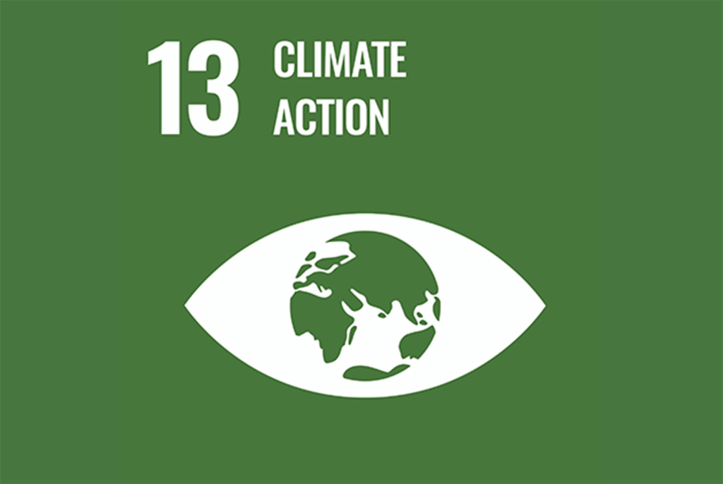 Sostenibilidad 4 SDGs 13