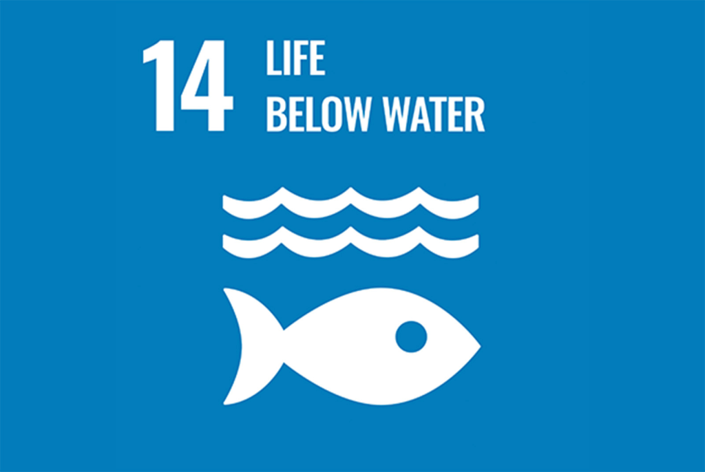Sostenibilidad 9 SDGs 14