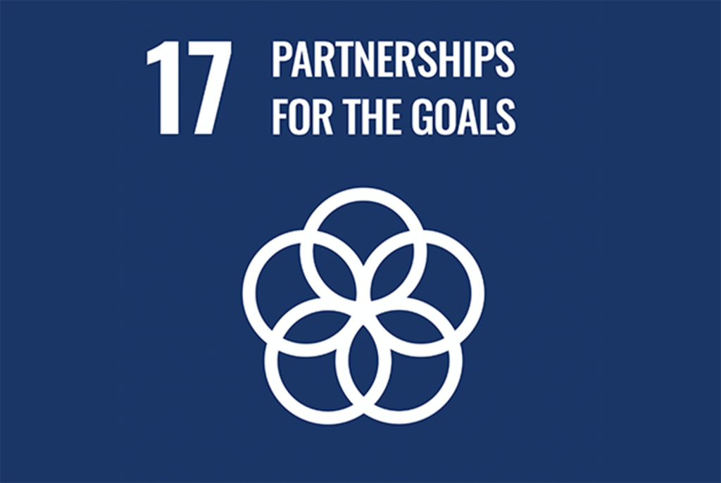 Sostenibilidad 19 SDGs 17