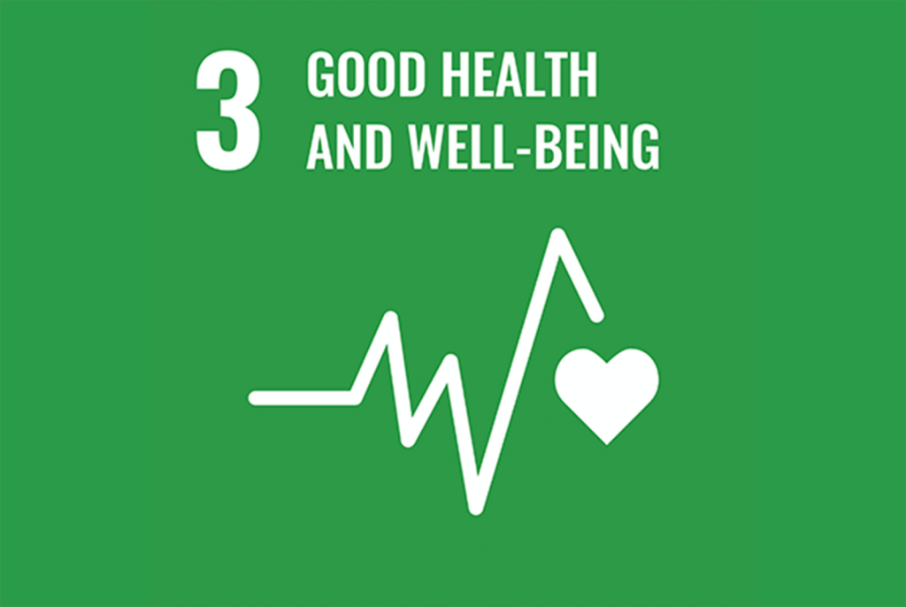 Sostenibilidad 5 SDGs 3