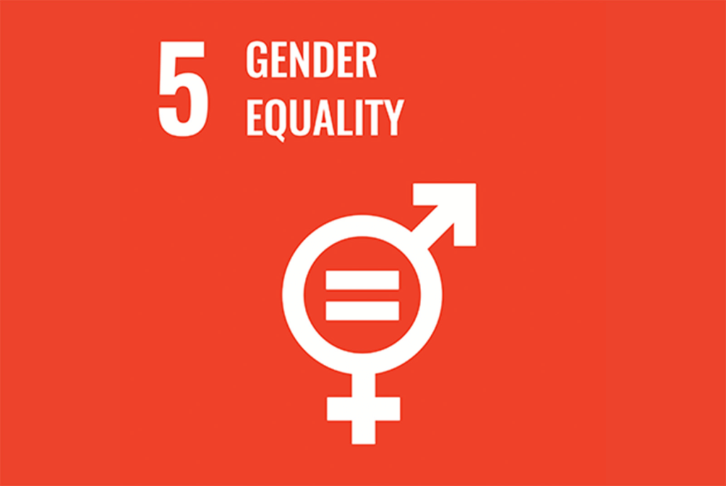 Sostenibilidad 15 SDGs 5