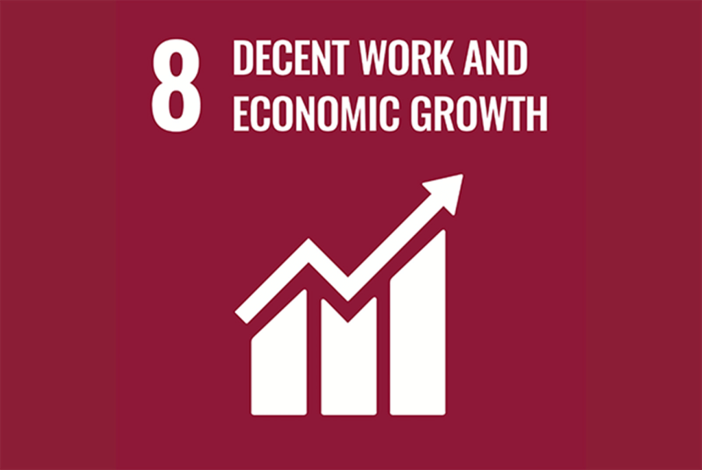 Sostenibilidad 12 SDGs 8
